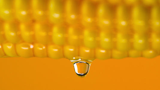 玉米油滴落视频的预览图