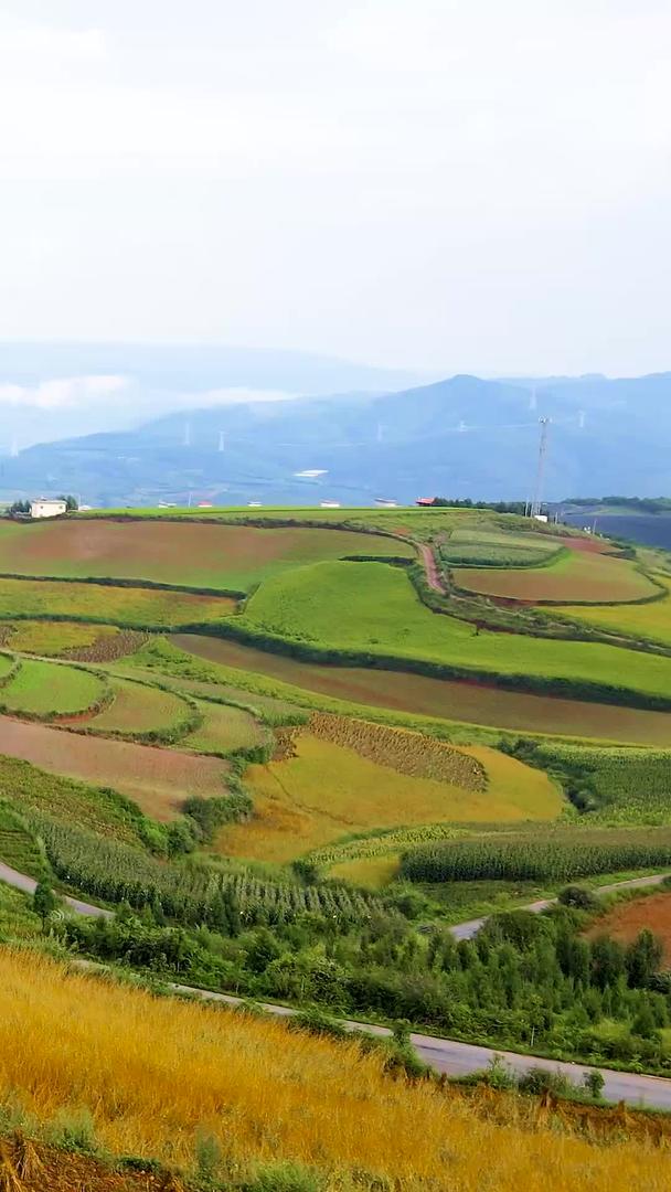 云南红土地农业耕地航拍视频的预览图