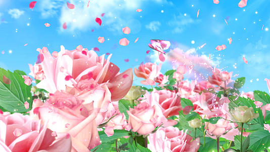 4K浪漫粉色玫瑰花海背景视频视频的预览图
