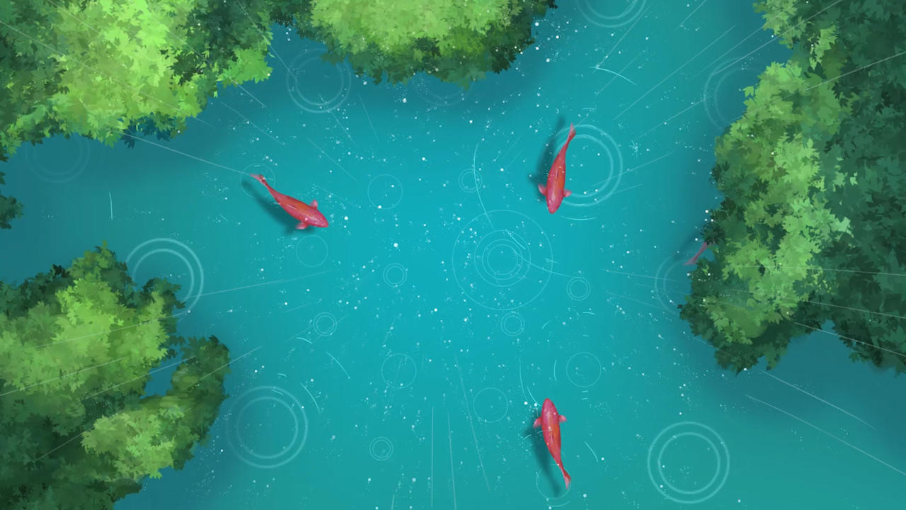 谷雨池塘鲤鱼背景视频视频的预览图