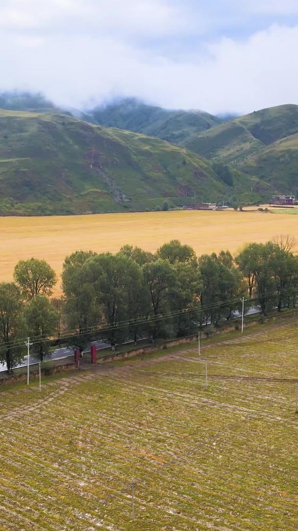中国西部高原农村农业基地航拍视频的预览图