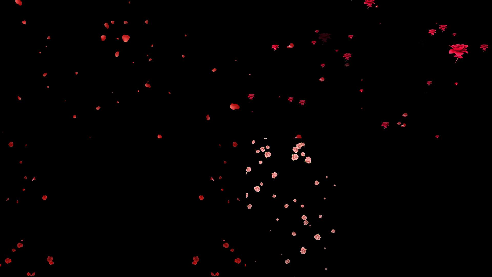 一组花朵花瓣飘落花瓣修饰动画视频的预览图