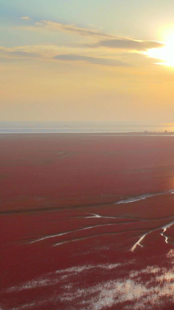 红海滩国家风景廊道湿地5A级风景名胜区夕阳云层视频的预览图