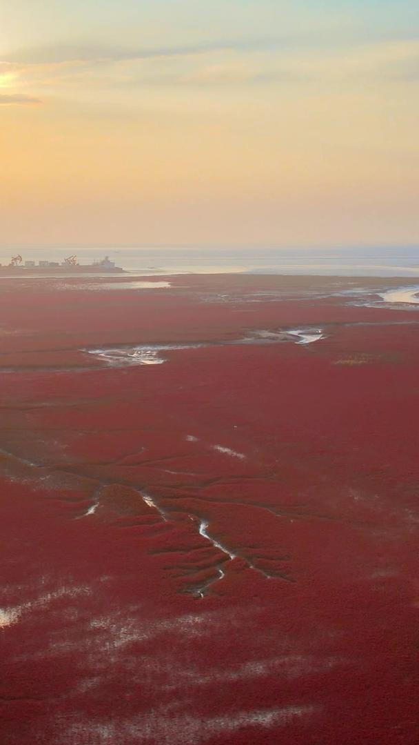 红海滩国家风景廊道湿地5A级风景名胜区夕阳云层视频的预览图
