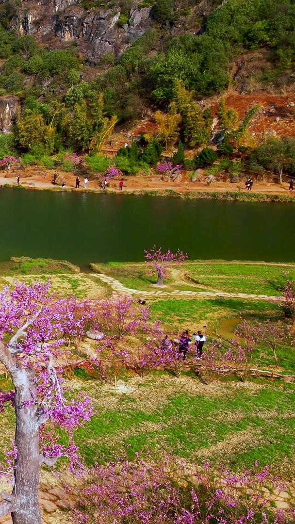 云南普者黑景区自然风光视频素材视频的预览图