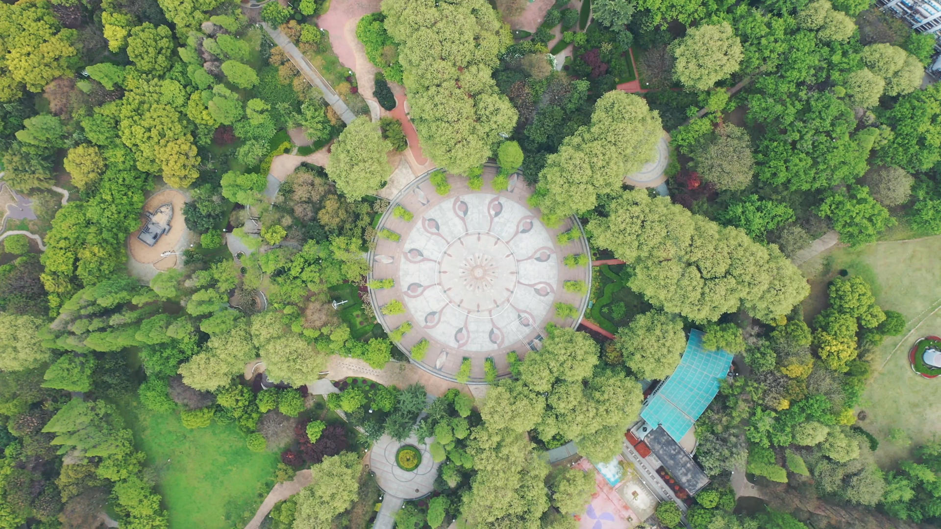 航拍武汉中心公园森林广场视频的预览图