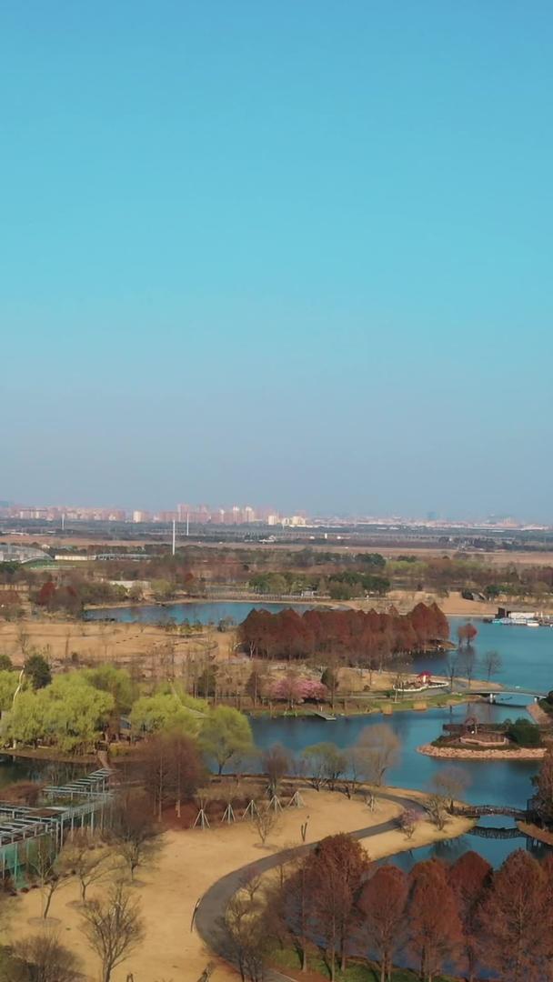 上海浦江郊野公园视频的预览图