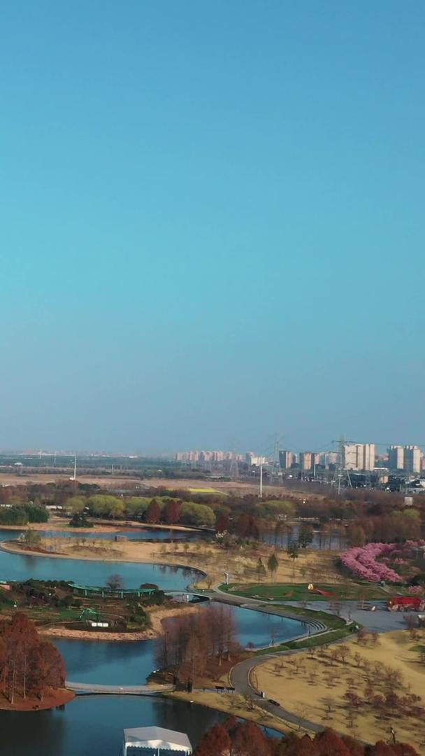 上海浦江郊野公园视频的预览图