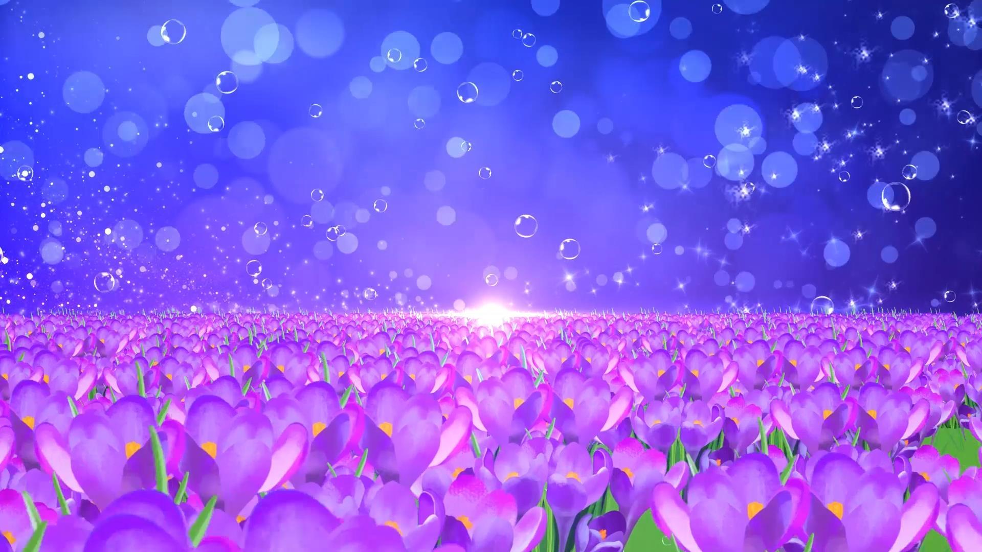唯美动态花海大气温馨粒子光效背景视频素材视频的预览图