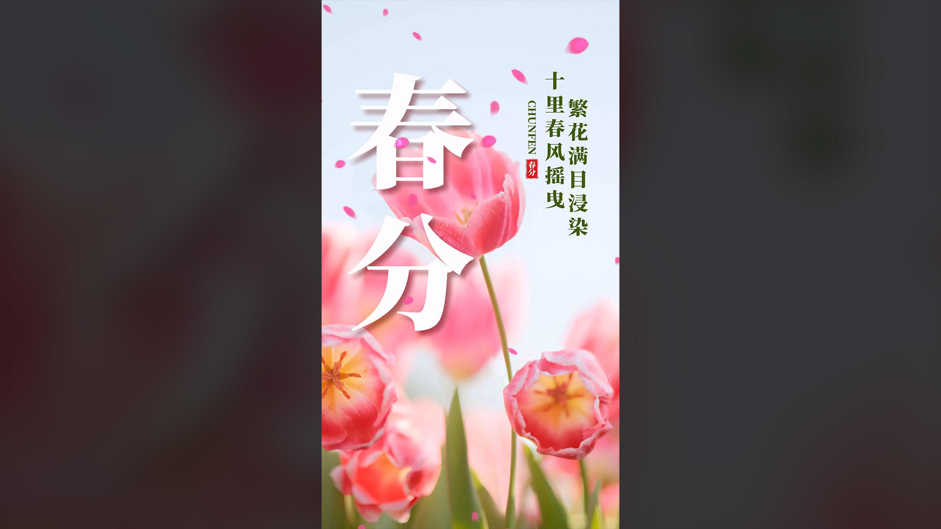 传统二十四节气春分视频海报视频的预览图