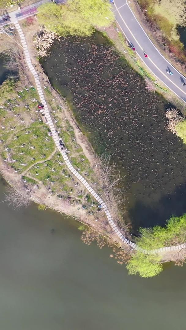丁山湖的高空俯拍风景视频的预览图
