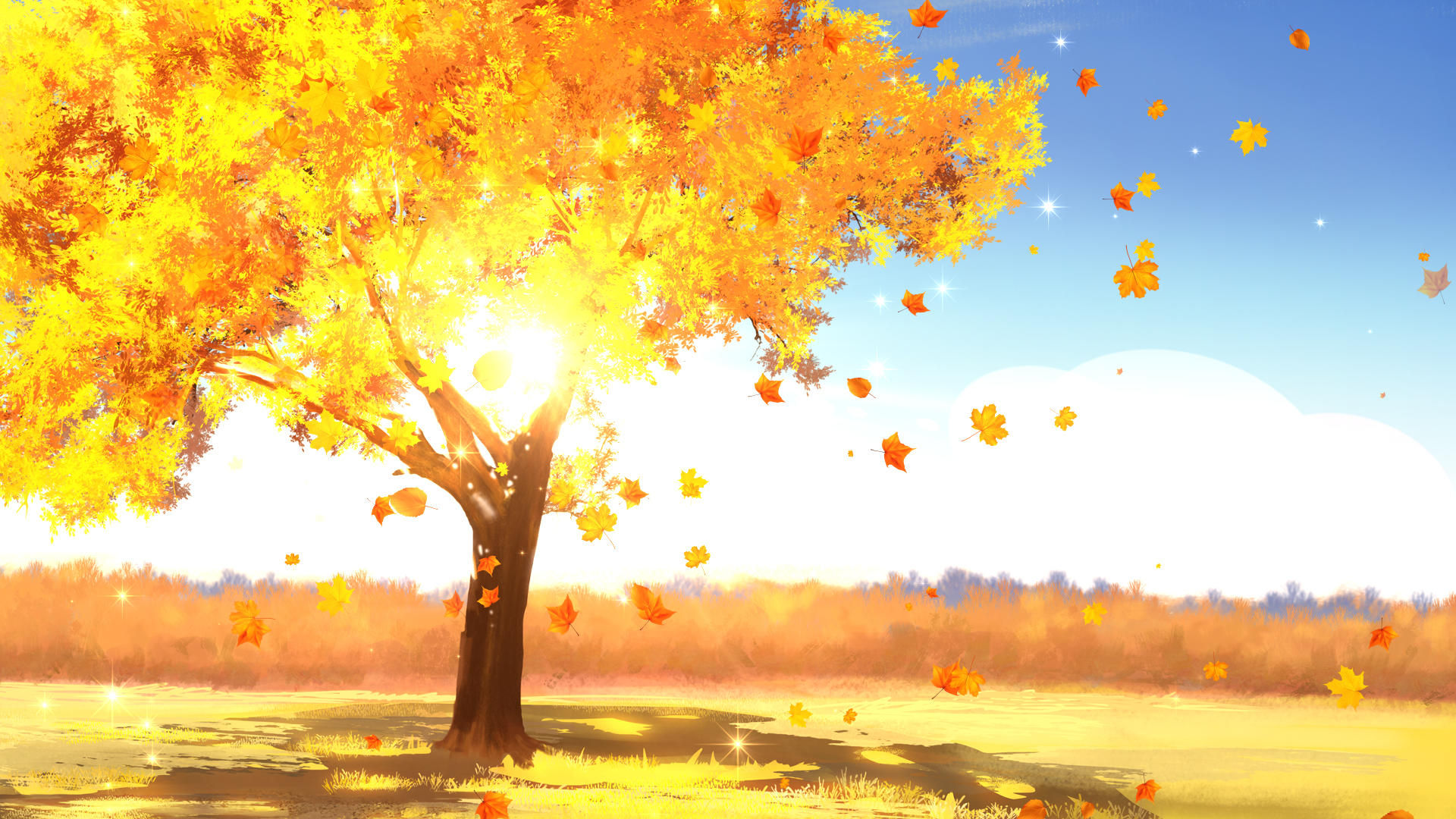 枫叶飘落秋天背景视频的预览图