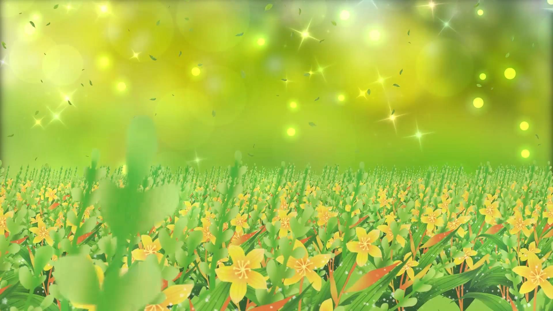 动态唯美温馨绿色动态花海粒子光效舞台背景视频视频的预览图