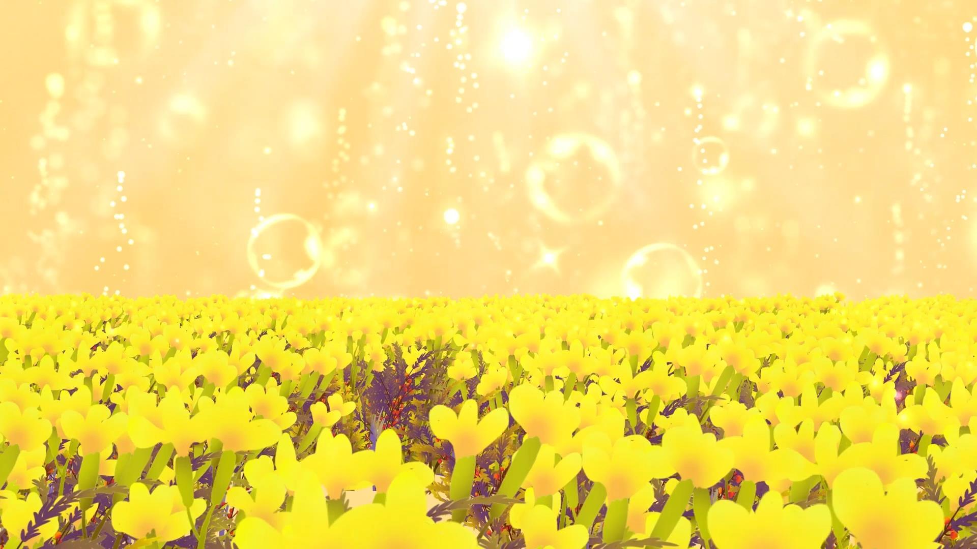 温馨动态花海唯美黄色粒子光晕拖尾视频背景视频的预览图