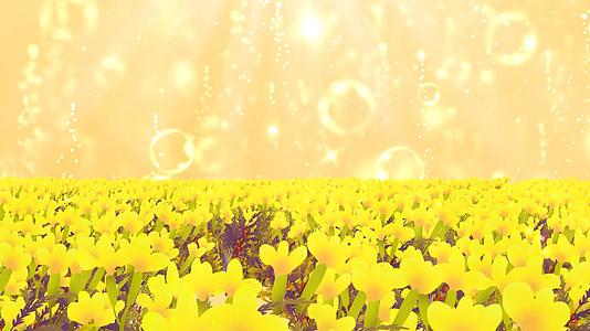 温馨动态花海唯美黄色粒子光晕拖尾视频背景视频的预览图