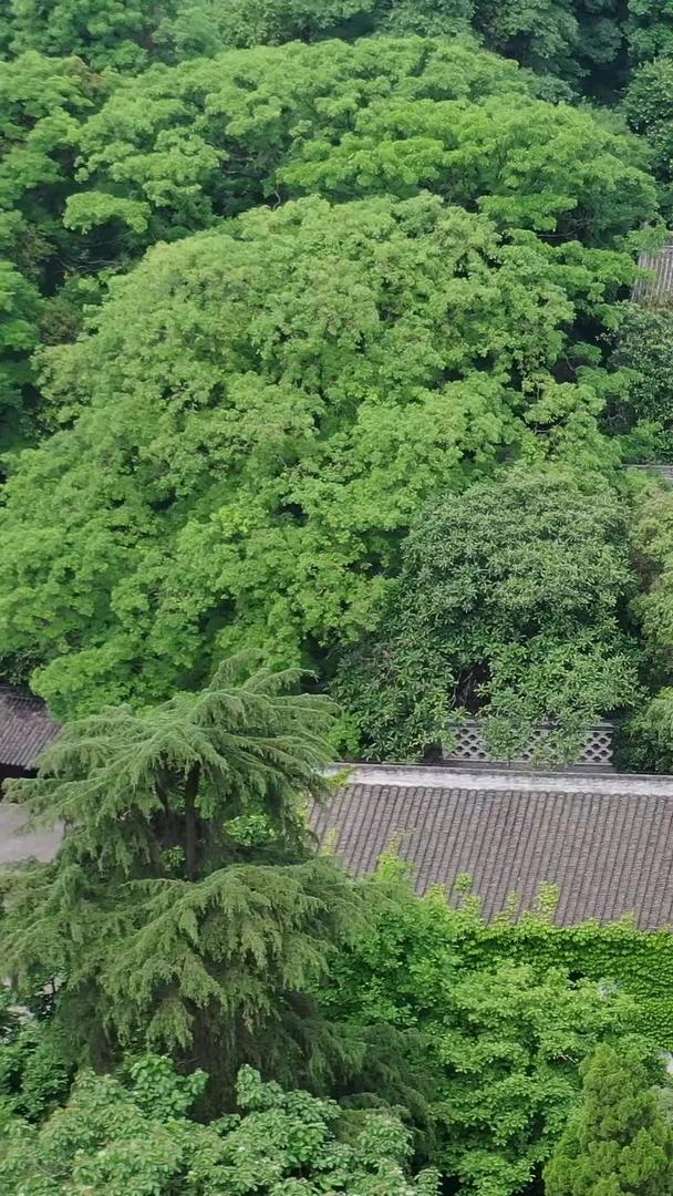 湖北省襄阳古隆中5A景区视频的预览图