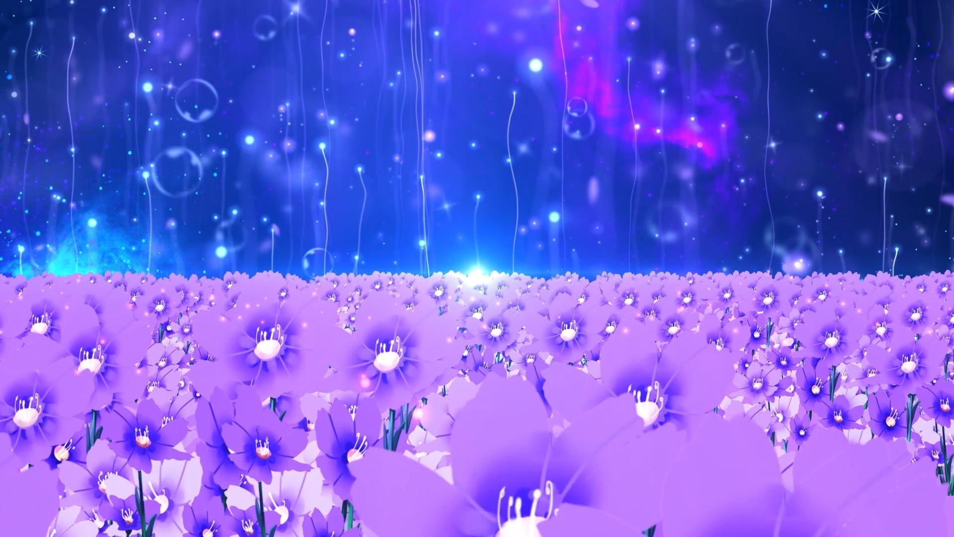 动态唯美蓝色花海温馨粒子拖尾上升光效舞台背景视频视频的预览图