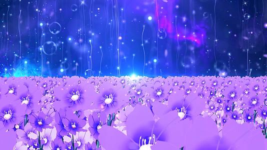 动态唯美蓝色花海温馨粒子拖尾上升光效舞台背景视频视频的预览图