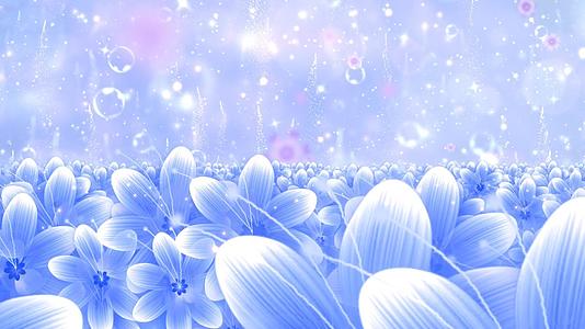 蓝色唯美花海温馨动态梦幻粒子光效舞台背景视频视频的预览图