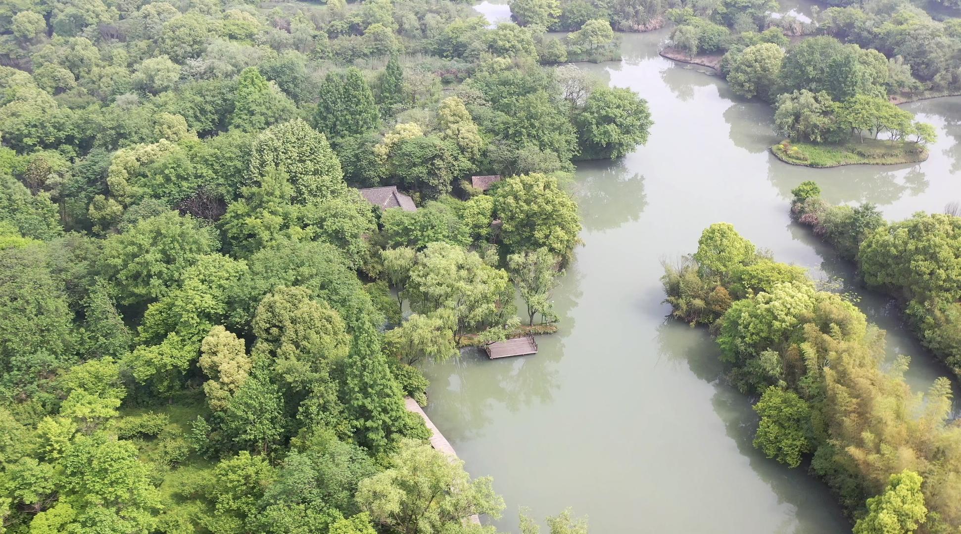 杭州西溪湿地国家湿地公园视频的预览图