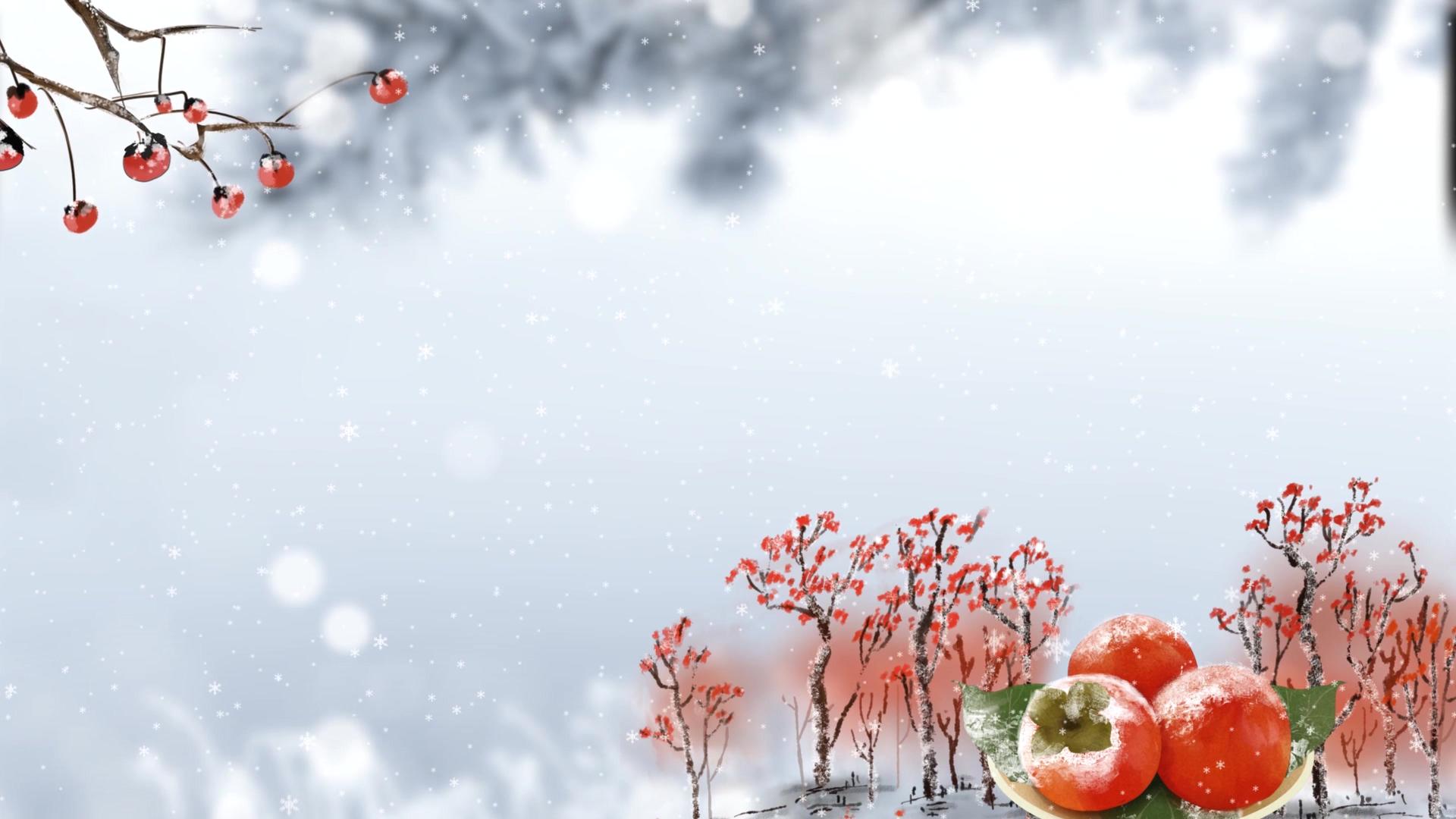 简洁美丽的霜降背景视频视频的预览图