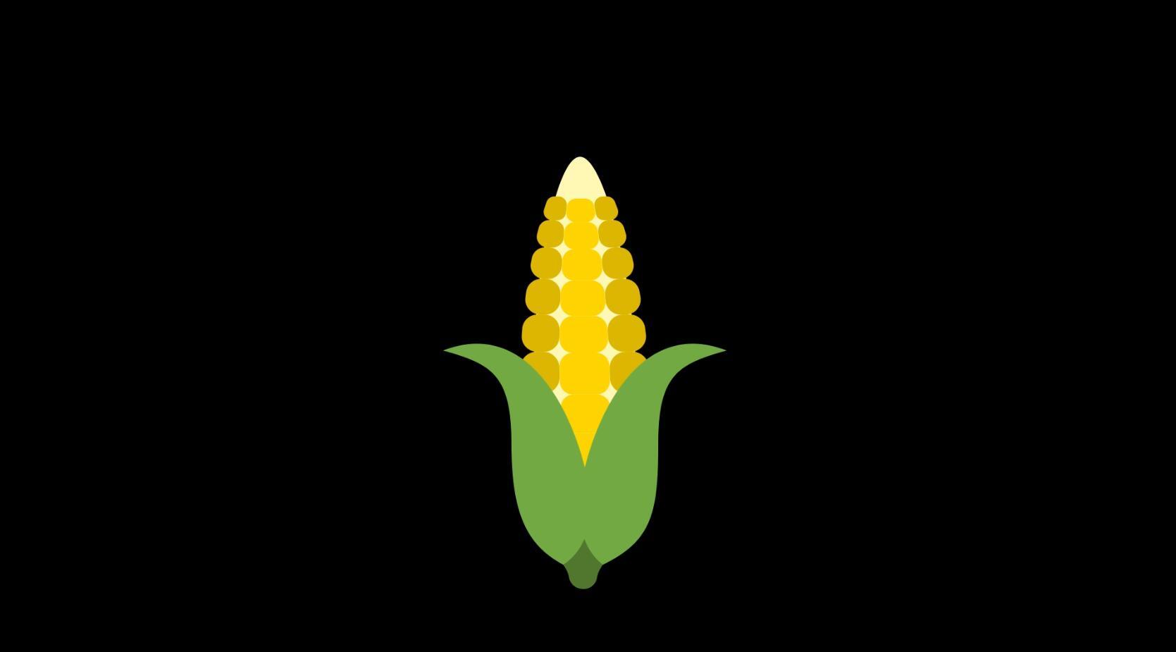 mg动态玉米蔬菜食物视频素材视频的预览图