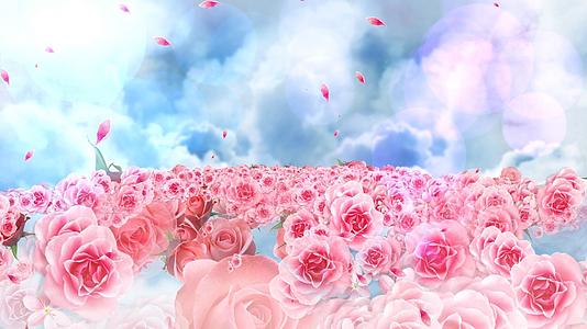 动态大气花朵花海云层飘动舞台背景视频元素视频的预览图