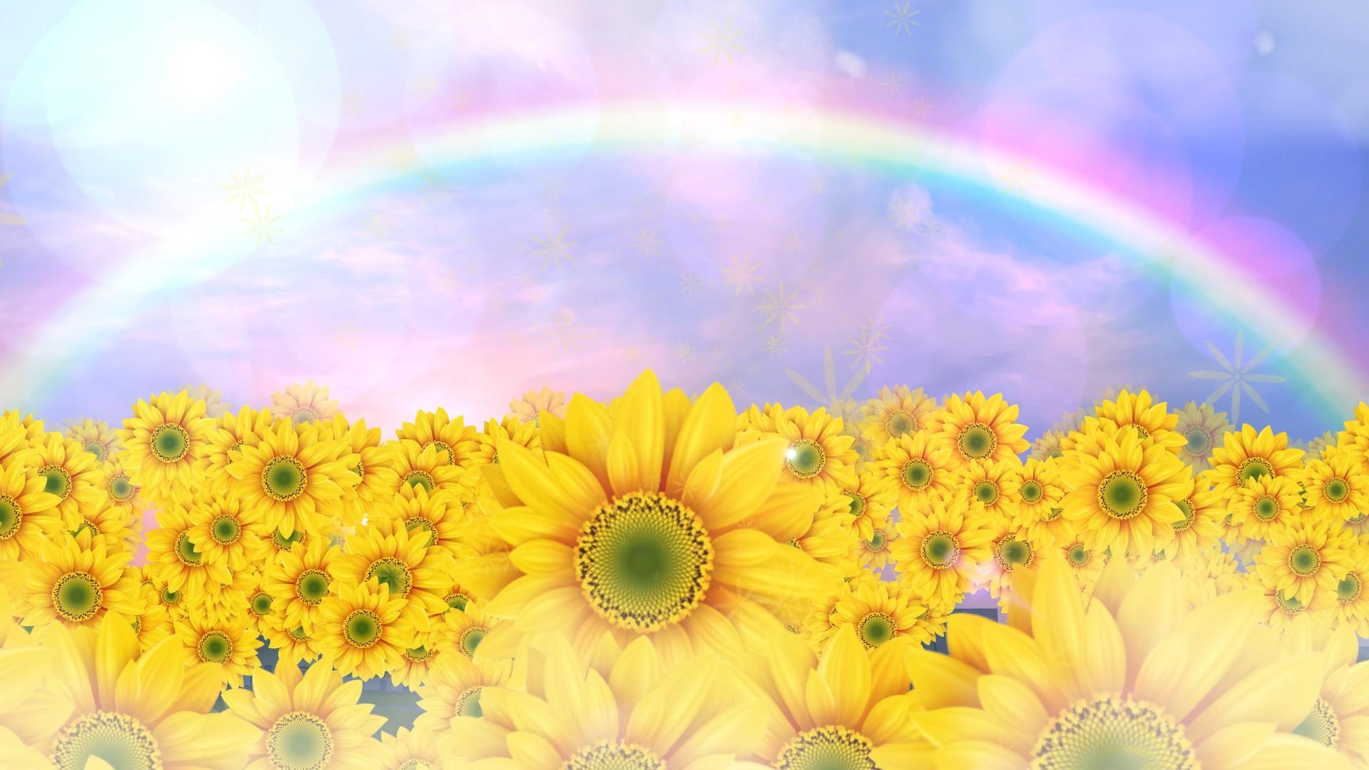 动态卡通唯美向日葵花朵背景视频元素视频的预览图