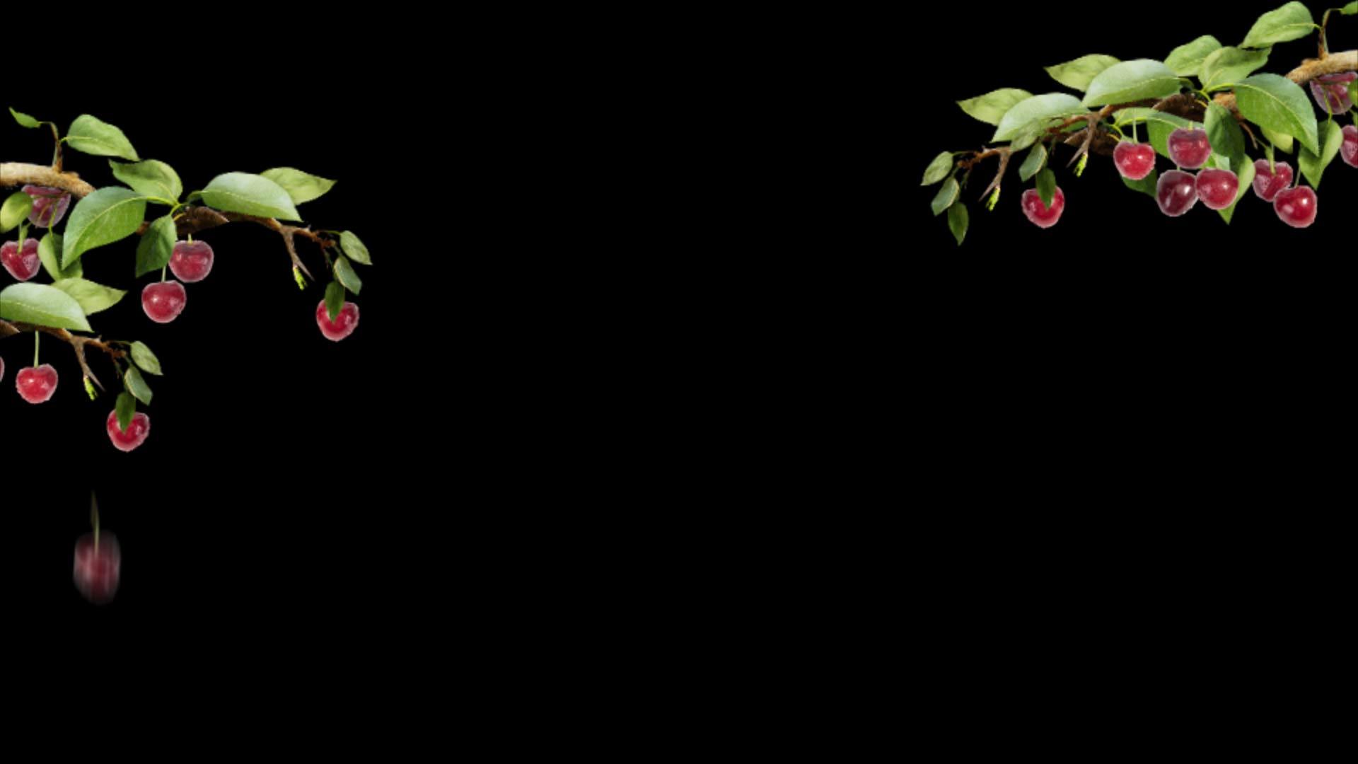 樱桃树边框素材视频的预览图