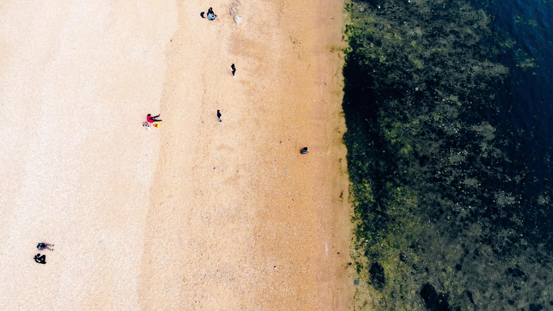 航拍大连星海湾晴天碧蓝海滩视频的预览图