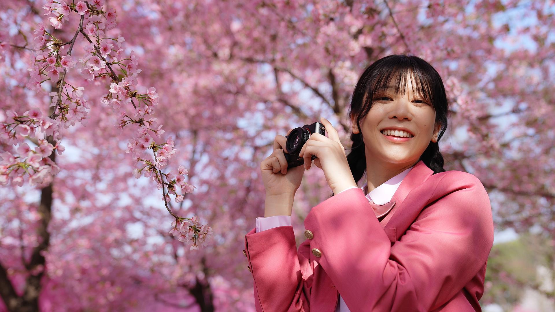 粉色JK制服的少女在樱花树下拍照视频的预览图
