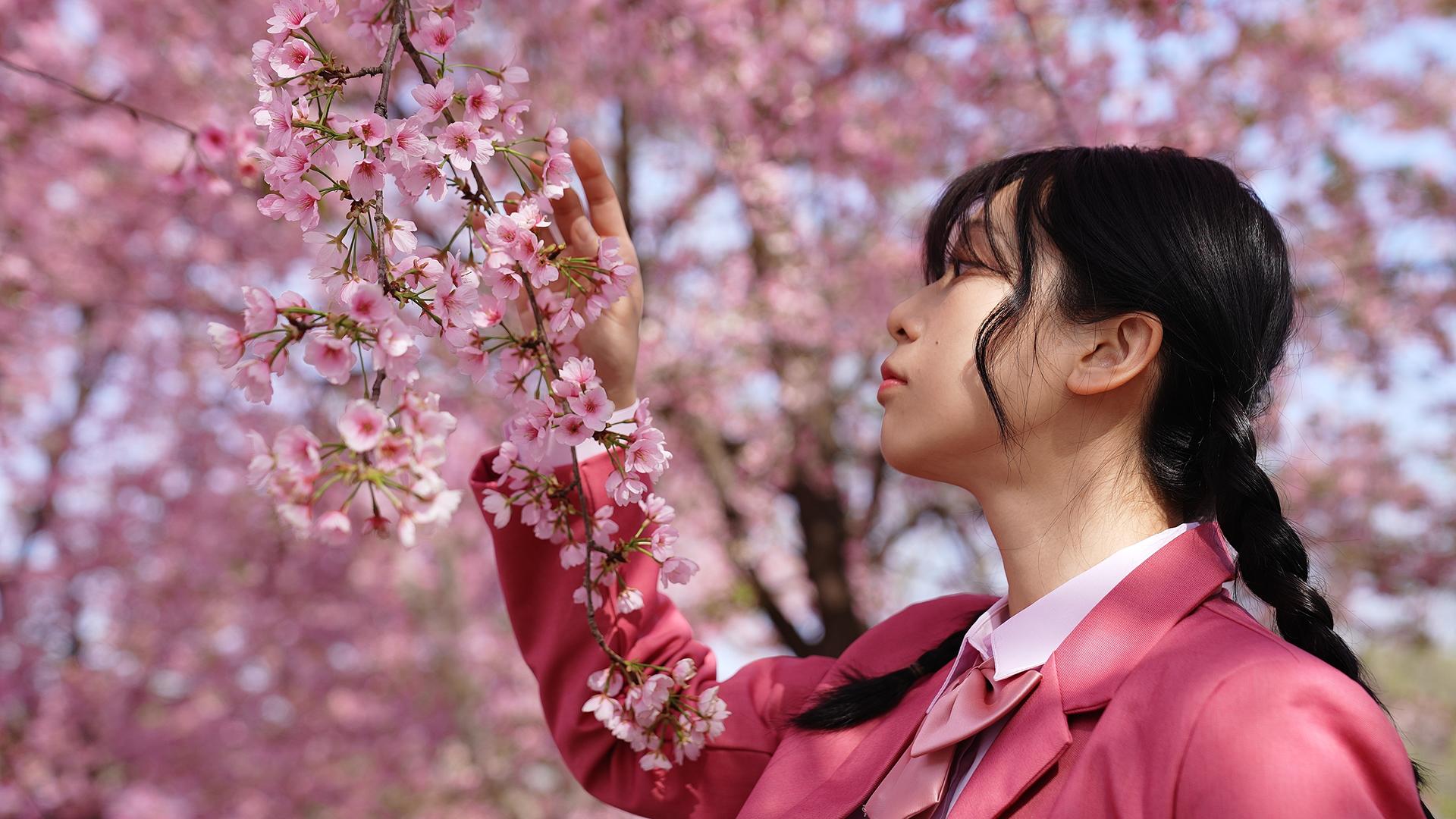 粉色JK制服的少女在樱花树下赏花视频的预览图