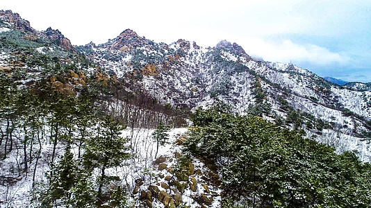 4K航拍青岛浮山森林公园被雪覆盖视频的预览图