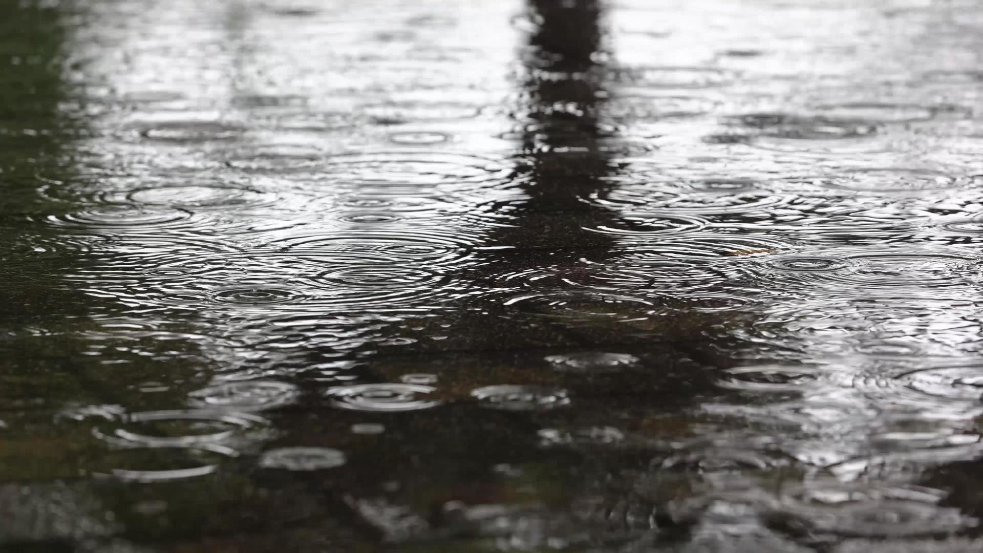 夏天雨水积水水纹花视频的预览图