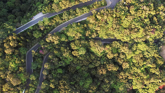 4K大疆Air2s实拍广州白云山森林视频的预览图