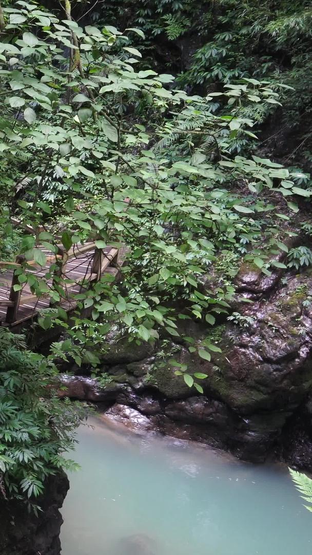 国家森林公园重庆黑山谷峰林幽峡峭壁仿古栈道视频的预览图
