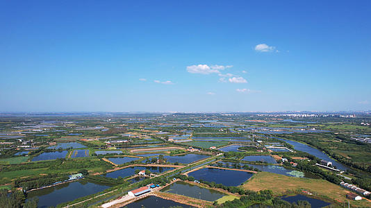 航拍农业农村农田乡村自然风光水稻田4k素材视频的预览图