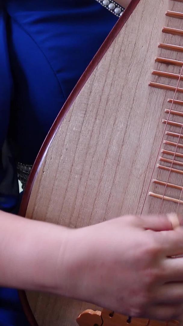 中国民族器乐琵琶古风国风演奏弹奏材料视频的预览图