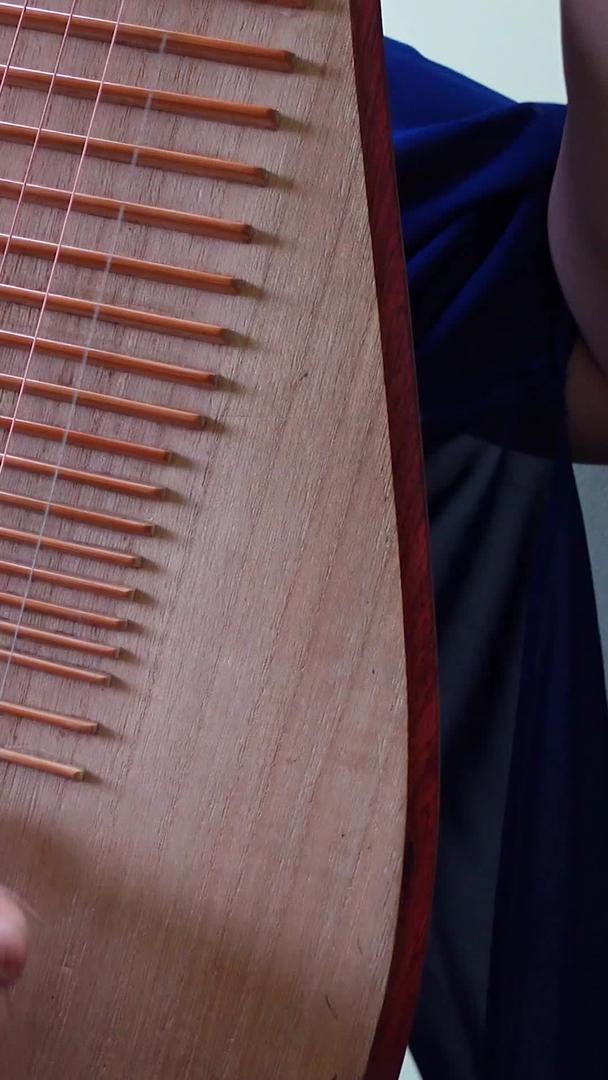中国民族器乐琵琶古风国风演奏弹奏材料视频的预览图
