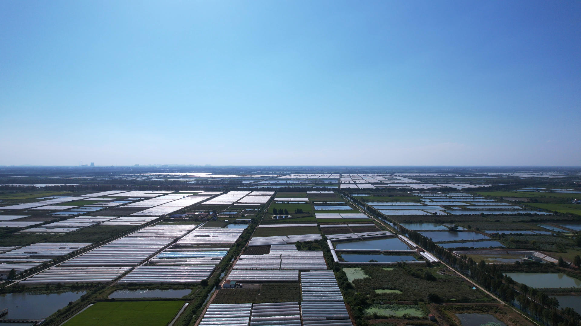 航拍农村一望无垠的农田稻田大棚养殖乡村自然风光4k素材视频的预览图
