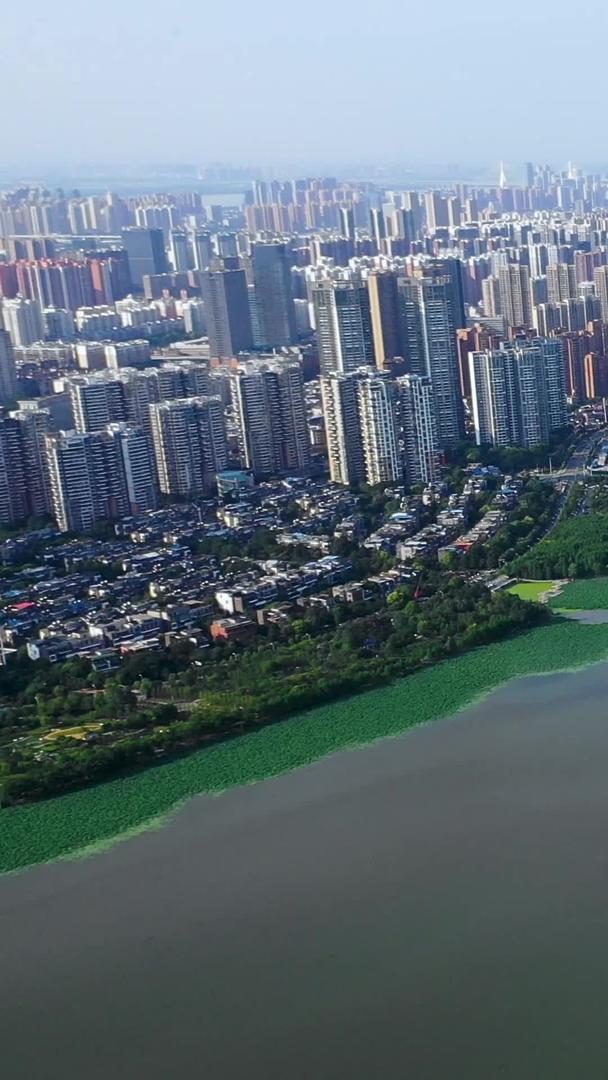 航空摄影城市依湖而密集的建筑视频的预览图