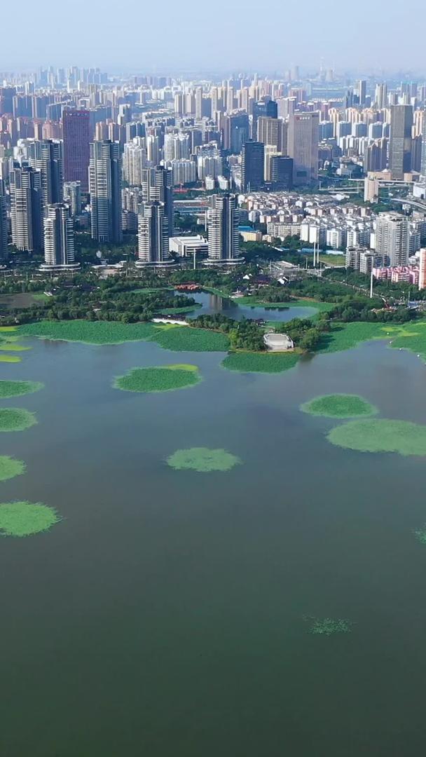 航空摄影城市依湖而密集的建筑视频的预览图