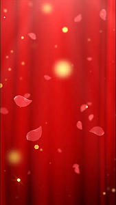 红色幕布花瓣飘动背景视频的预览图