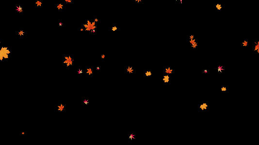 4K透明通道枫叶飘落视频素材视频的预览图