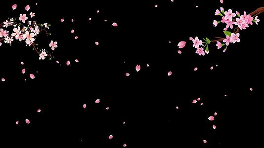 美丽的桃花花瓣飘落带枝动画视频的预览图