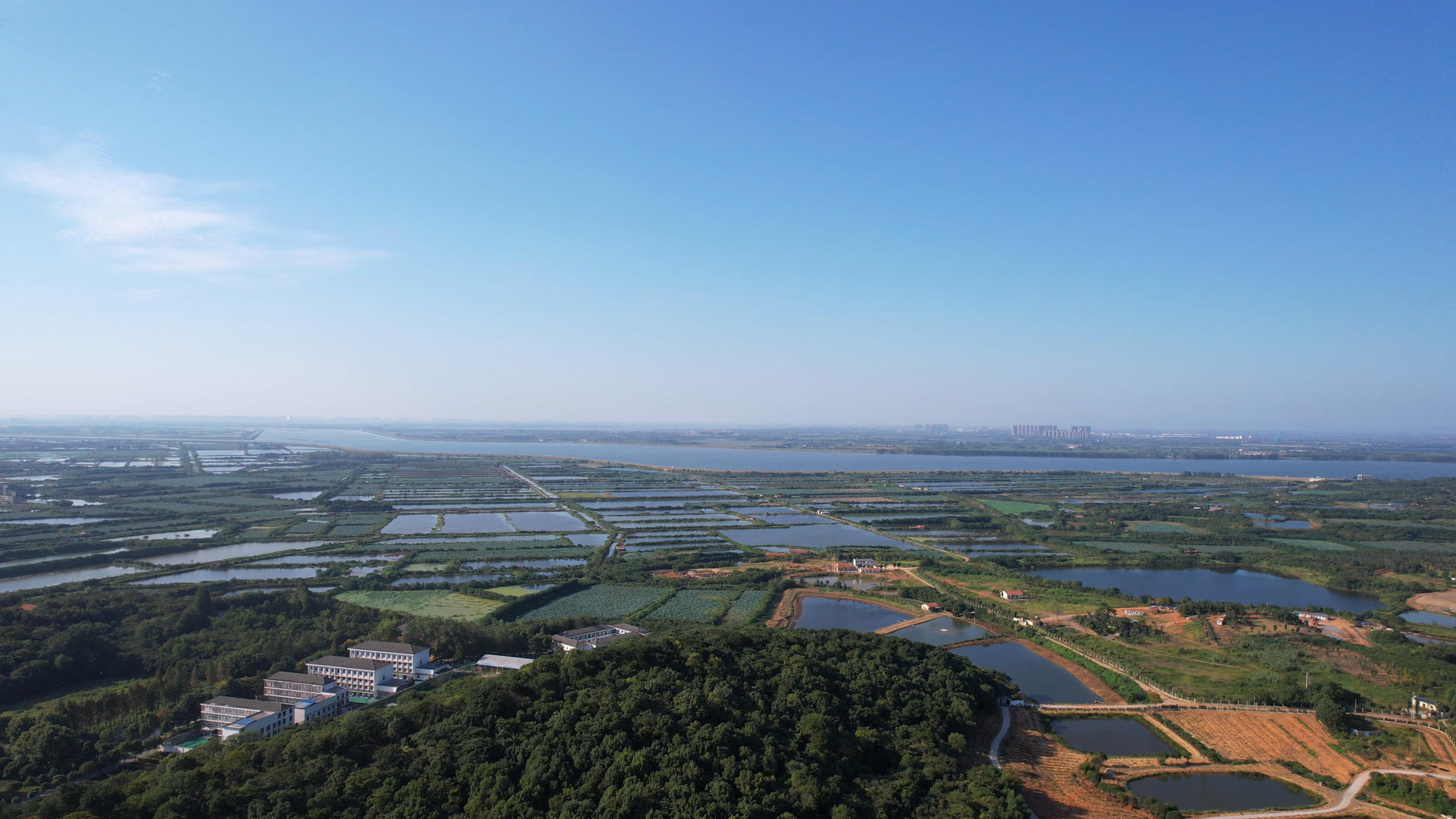 航拍农村农业农田水稻自然风光4k素材视频的预览图