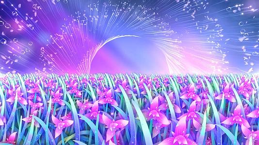 唯美梦幻花海动态舞台粒子旋转光效视频背景视频的预览图