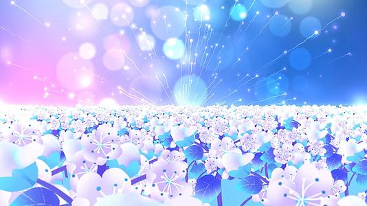 唯美梦幻蓝色花海动态粒子光效散发舞台背景视频视频的预览图