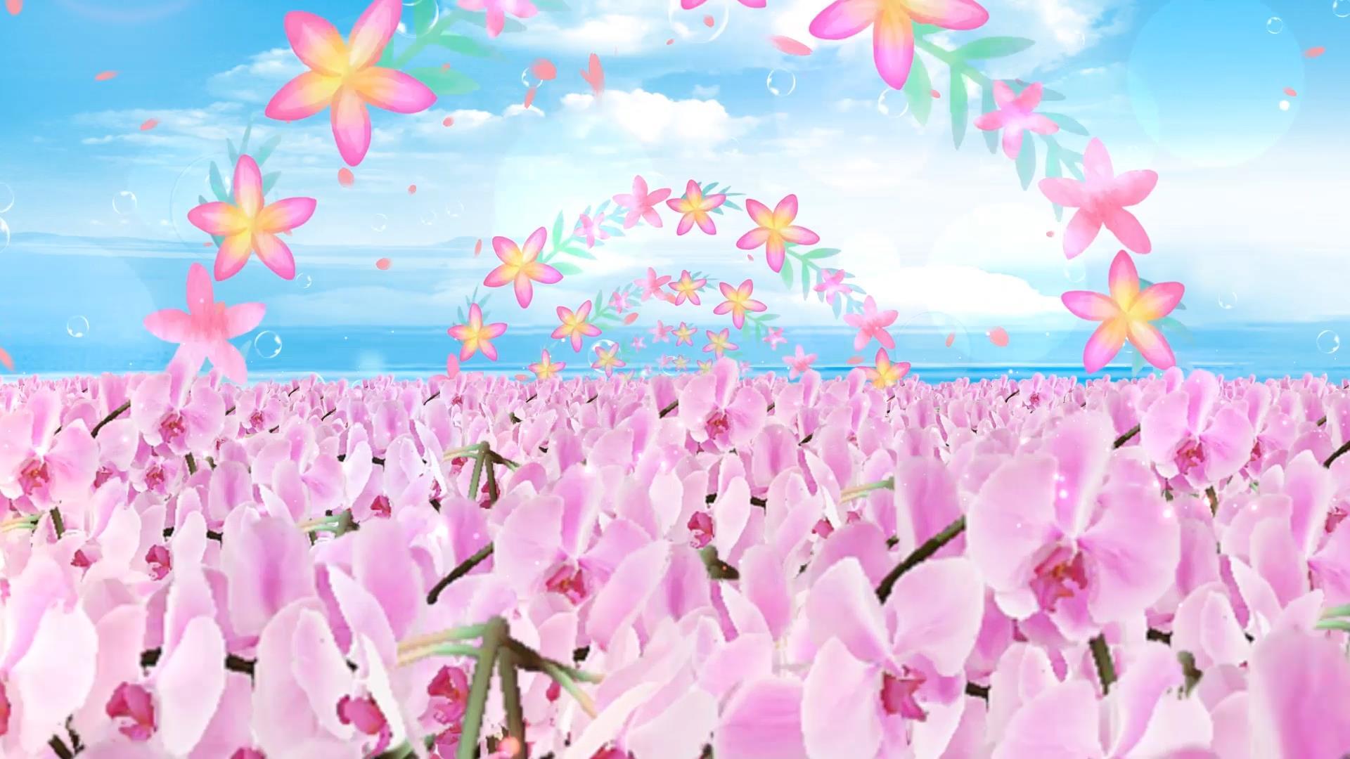 粉色唯美花海动态粒子花环穿梭背景视频素材视频的预览图