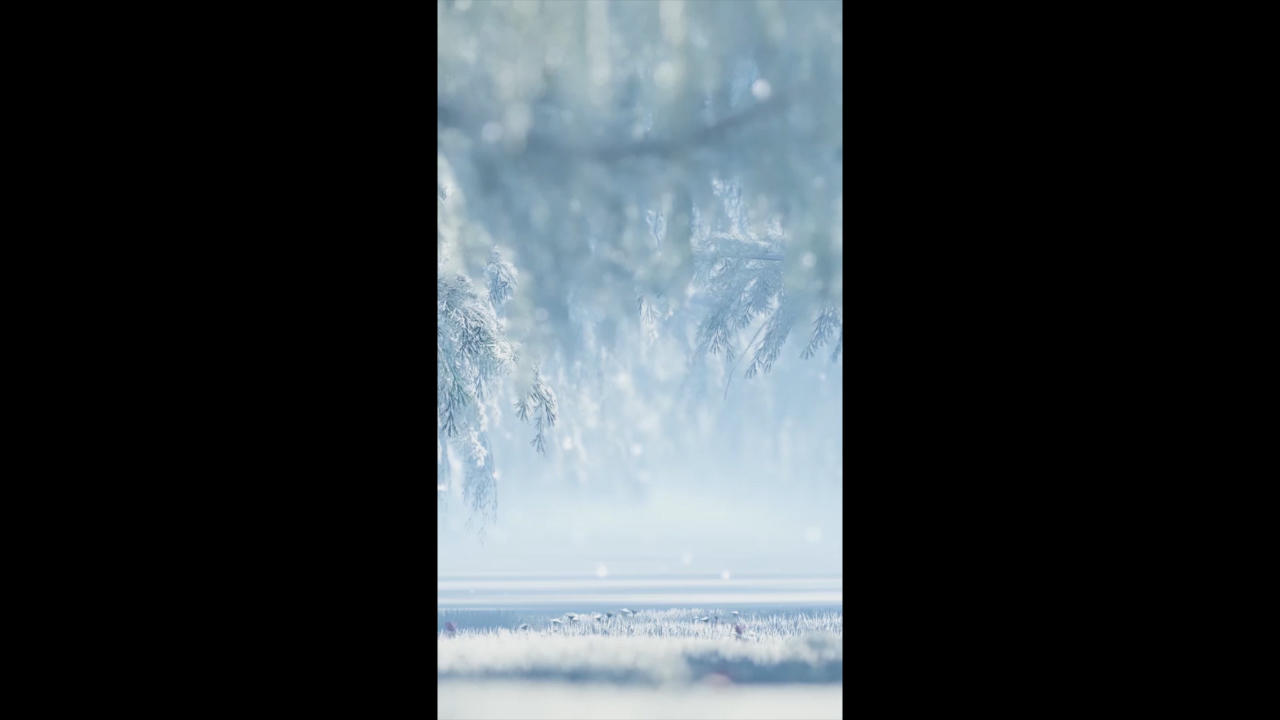 唯美冬天雪景背景视频的预览图